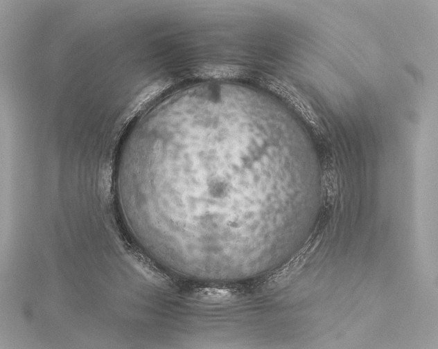 X0000116000159200912031516