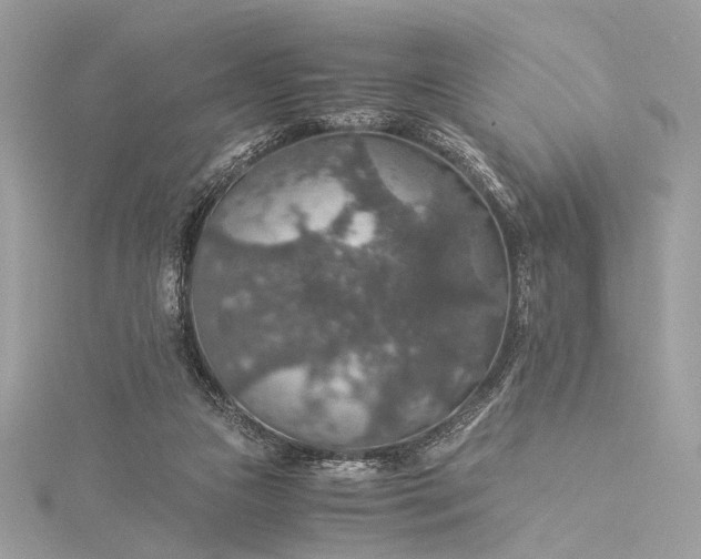 X0000116000161200912031516