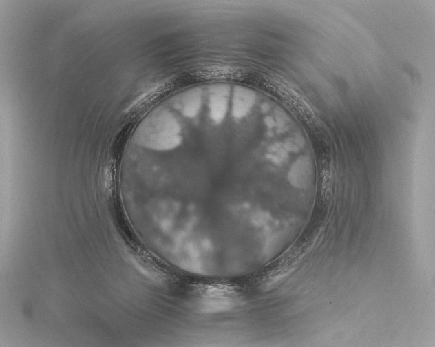 X0000116000165200912031516