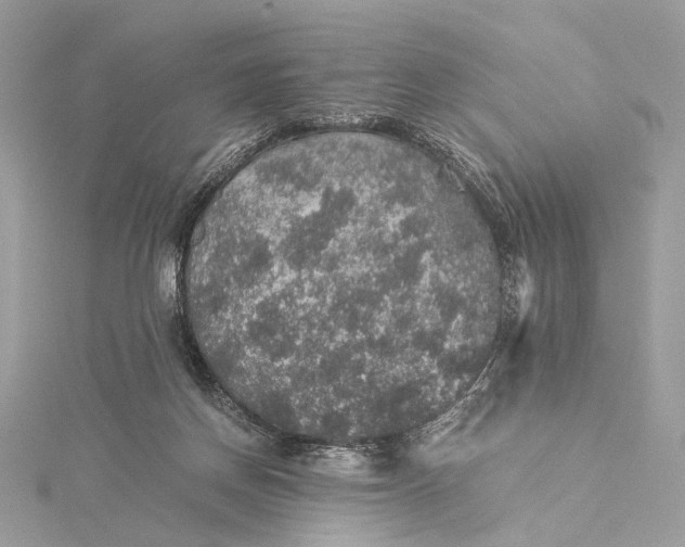 X0000116000166200912031516