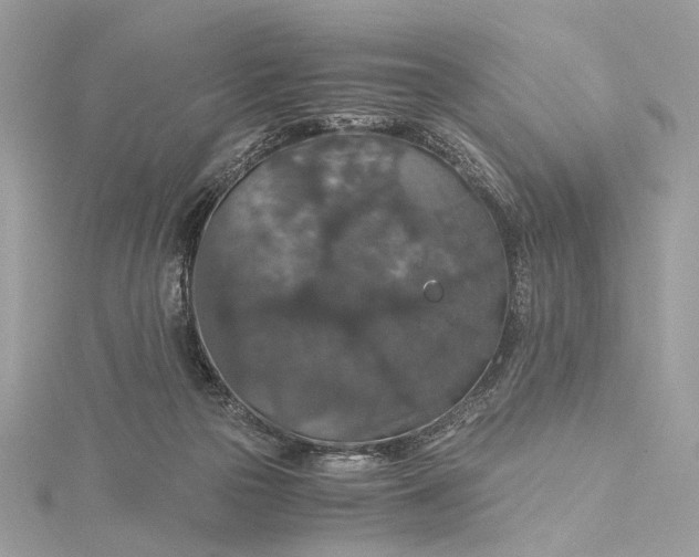 X0000116000169200912031516