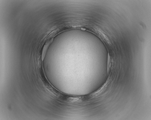 X0000116000170200912031516