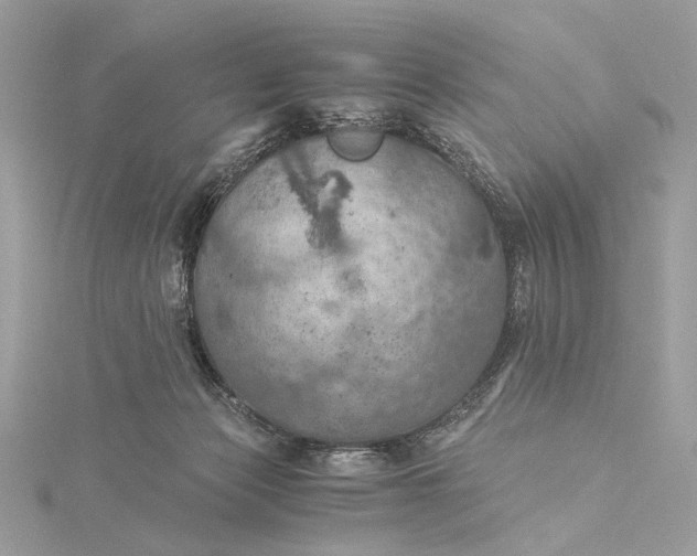 X0000116000173200912031516