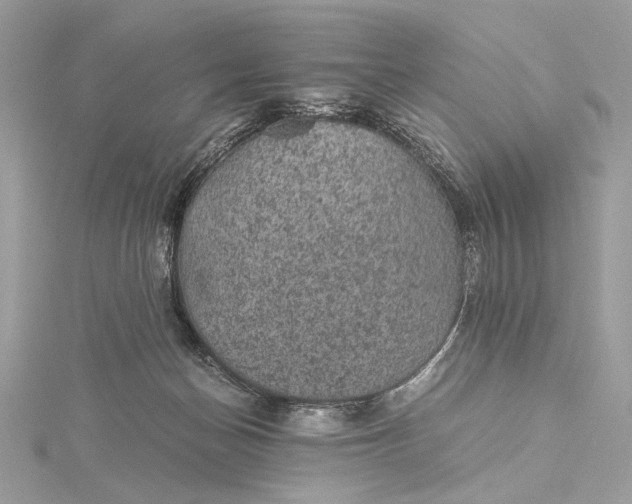 X0000116000174200912031516