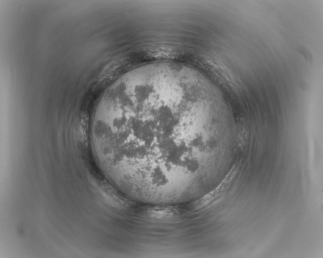 X0000116000175200912031516