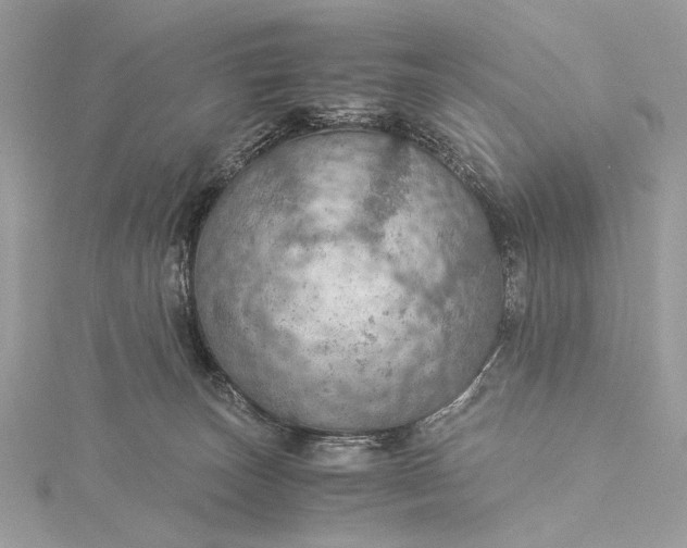 X0000116000179200912031517