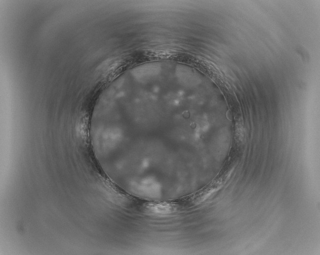 X0000116000181200912031517