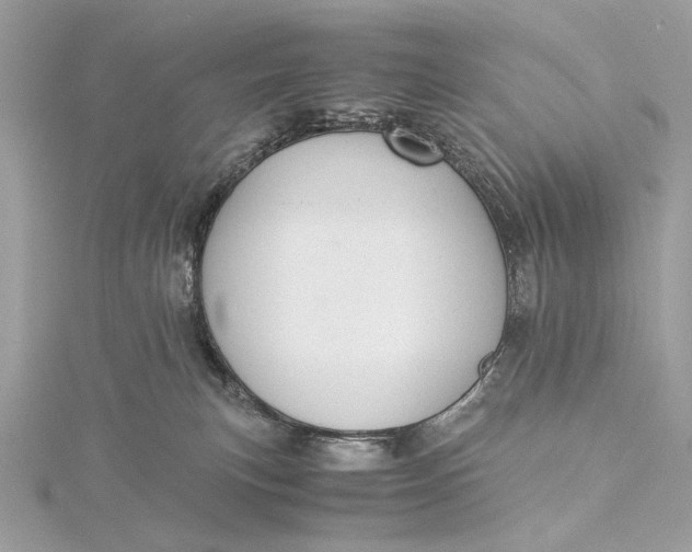 X0000116000183200912031517