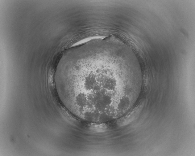 X0000116000185200912031517