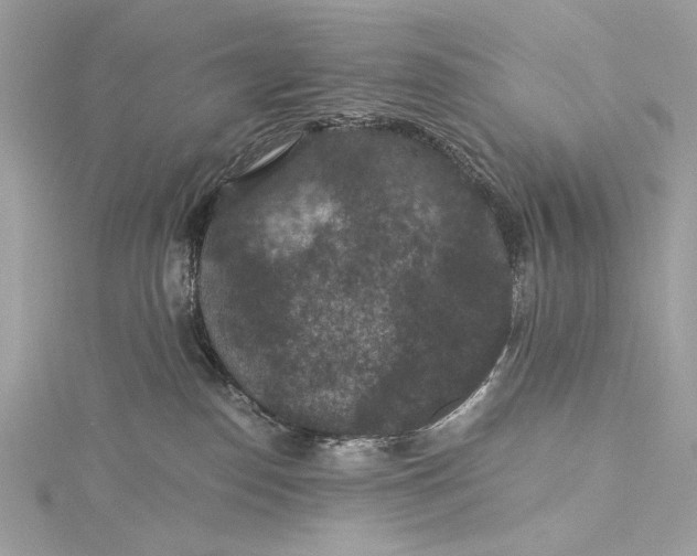 X0000116000186200912031517