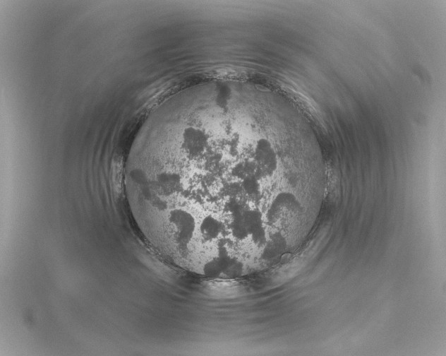 X0000116000189200912031517