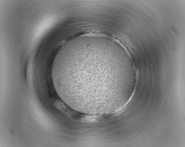 X0000116000190200912031517