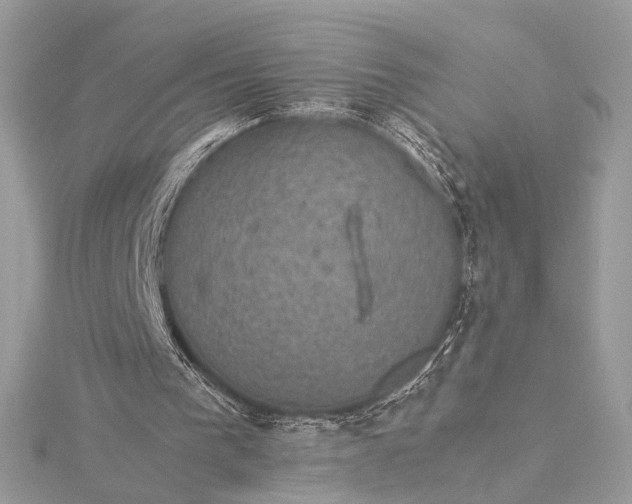 X0000116000193200912031516