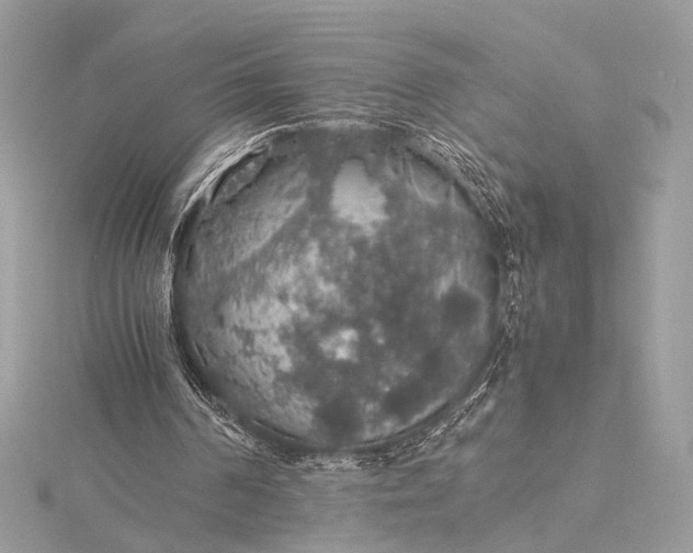 X0000116000194200912031516