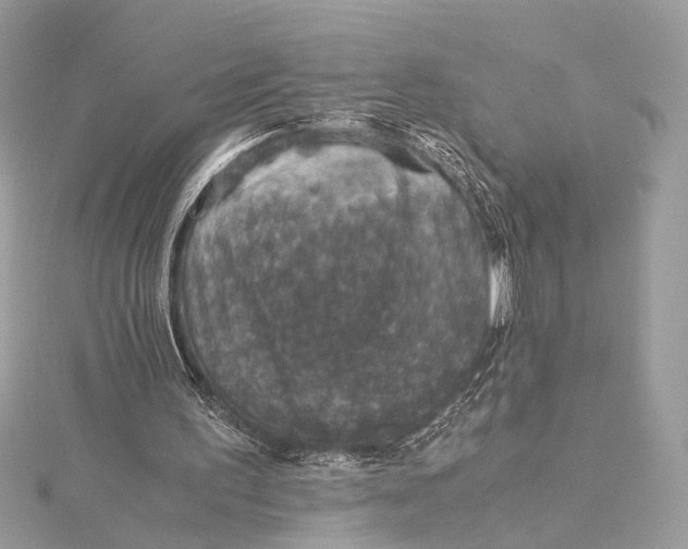 X0000116000195200912031516