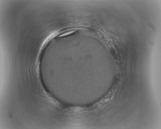 X0000116000197200912031516