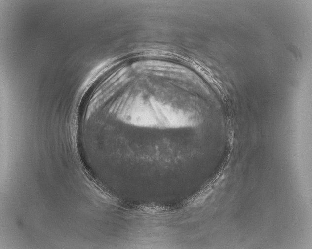 X0000116000199200912031516