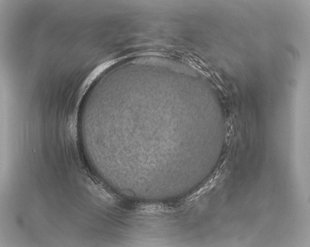 X0000116000200200912031516