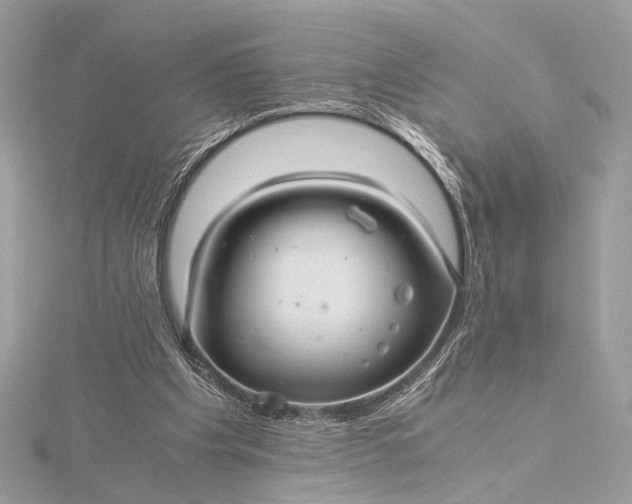 X0000116000201200912031516