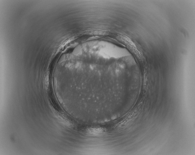 X0000116000202200912031516