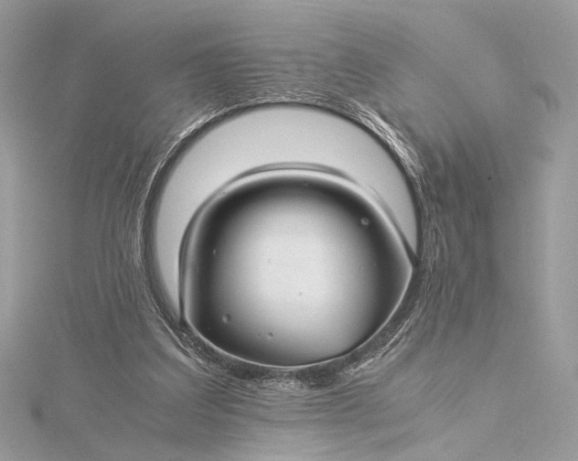 X0000116000203200912031516