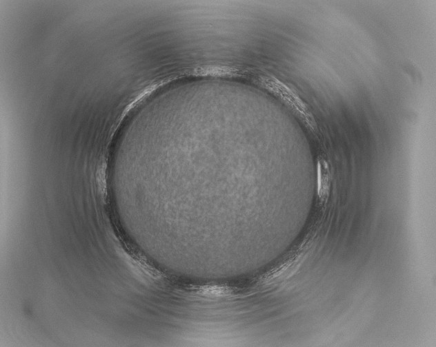 X0000116000204200912031516