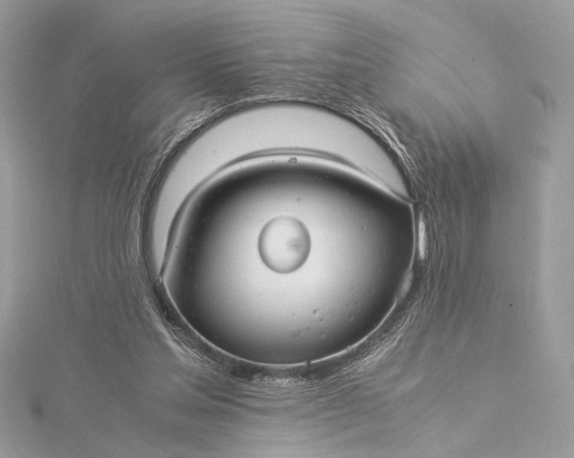 X0000116000205200912031516