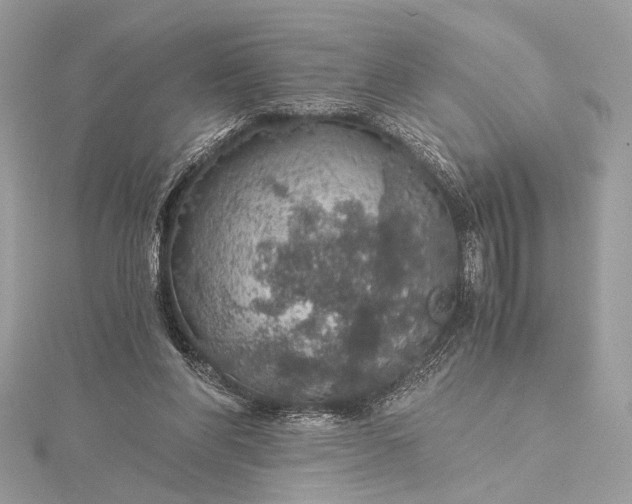 X0000116000206200912031516