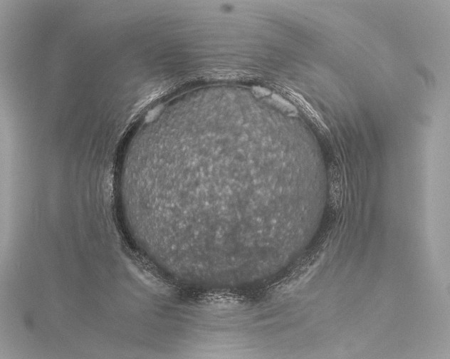 X0000116000207200912031516