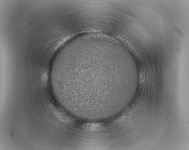 X0000116000208200912031516