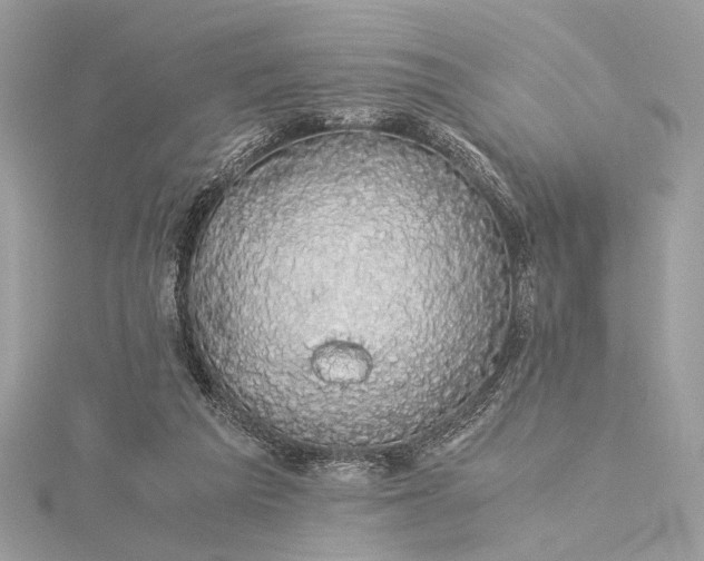 X0000116000209200912031516