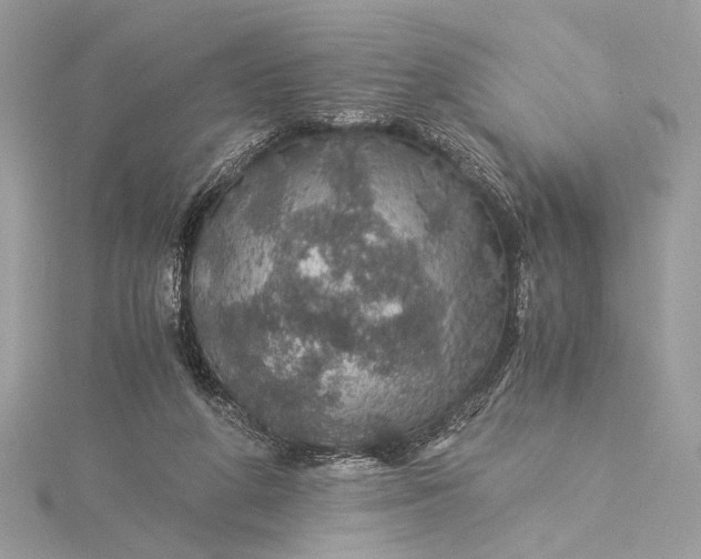 X0000116000210200912031516