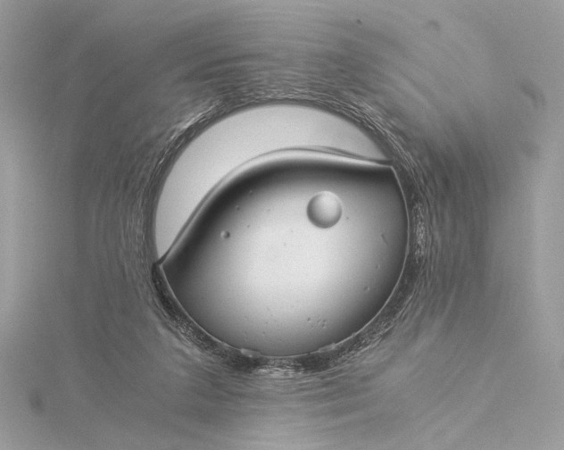 X0000116000211200912031516