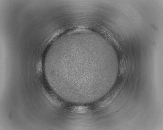 X0000116000212200912031516