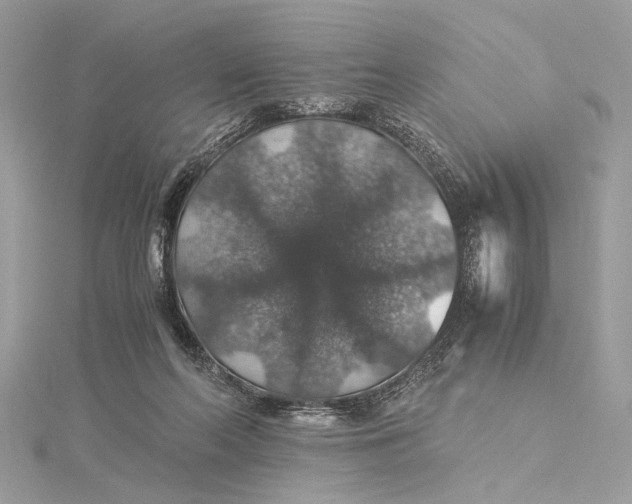 X0000116000214200912031516