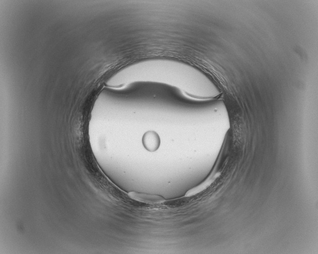 X0000116000215200912031516