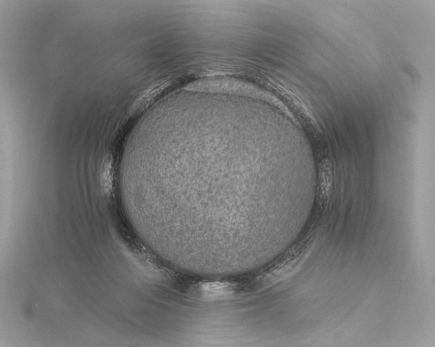 X0000116000216200912031516