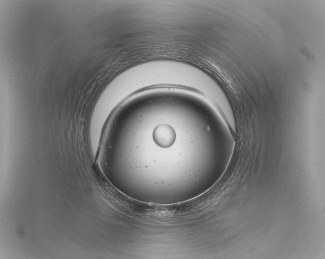 X0000116000217200912031516