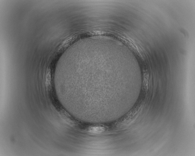 X0000116000220200912031516