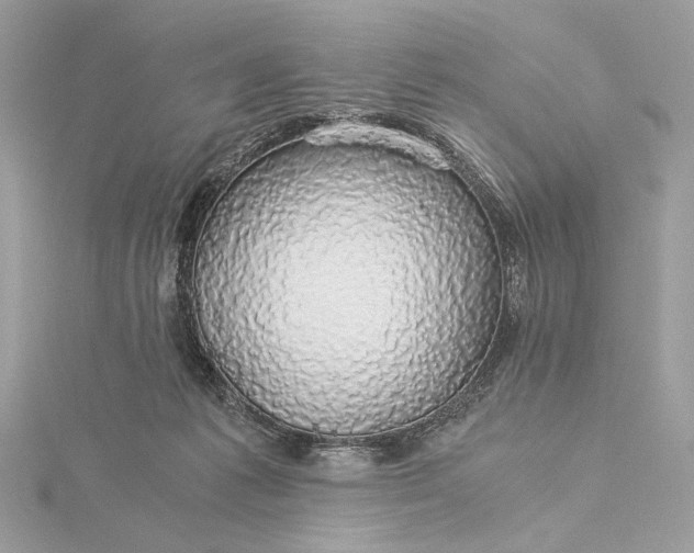 X0000116000221200912031516