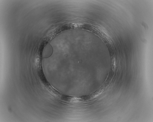 X0000116000222200912031516