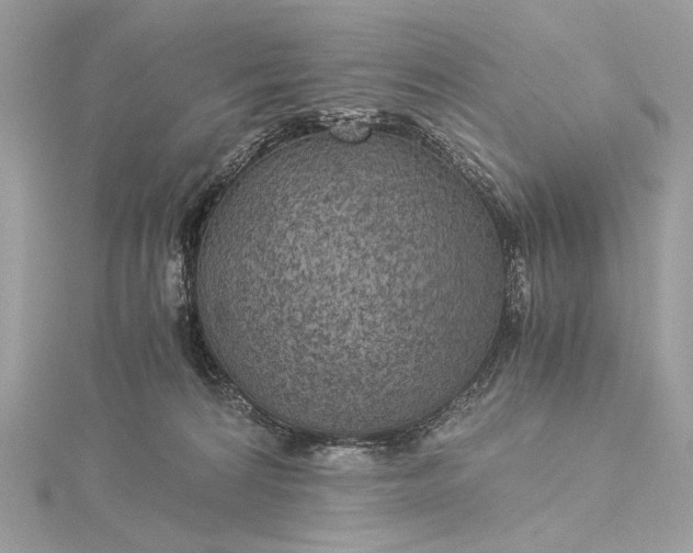 X0000116000224200912031516