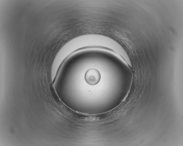 X0000116000225200912031516