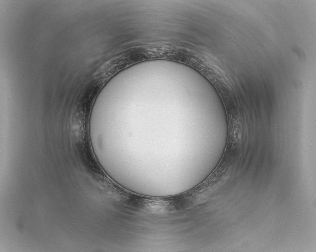 X0000116000226200912031516