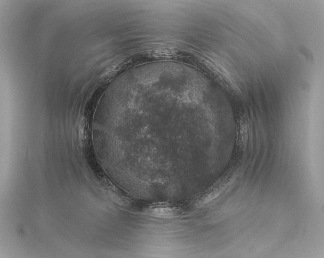 X0000116000228200912031516