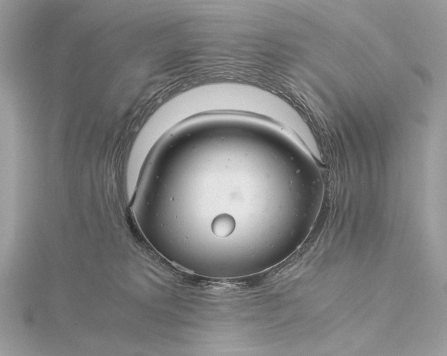 X0000116000229200912031516