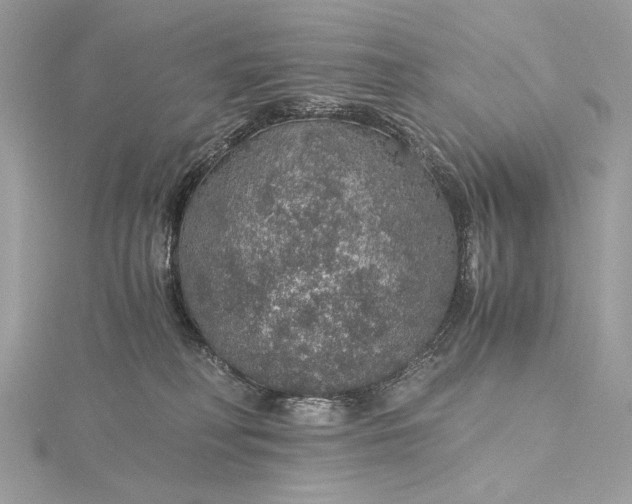 X0000116000230200912031516