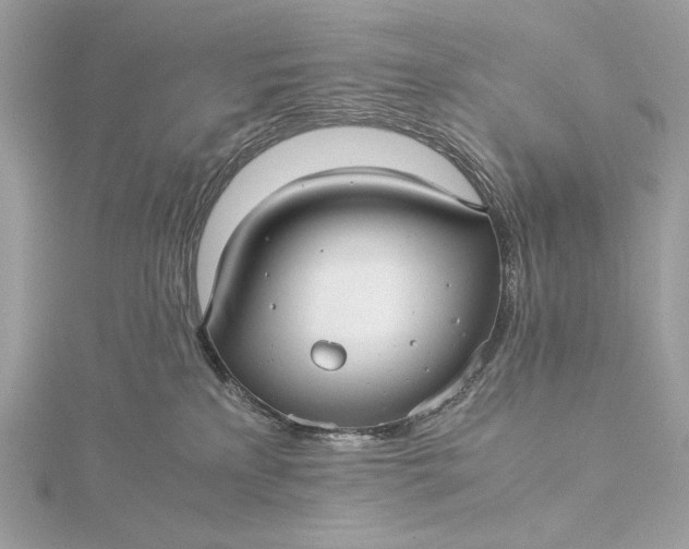 X0000116000233200912031516