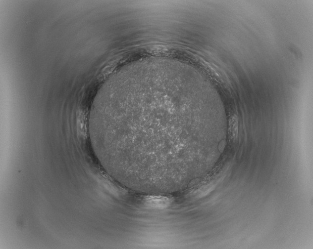 X0000116000234200912031516