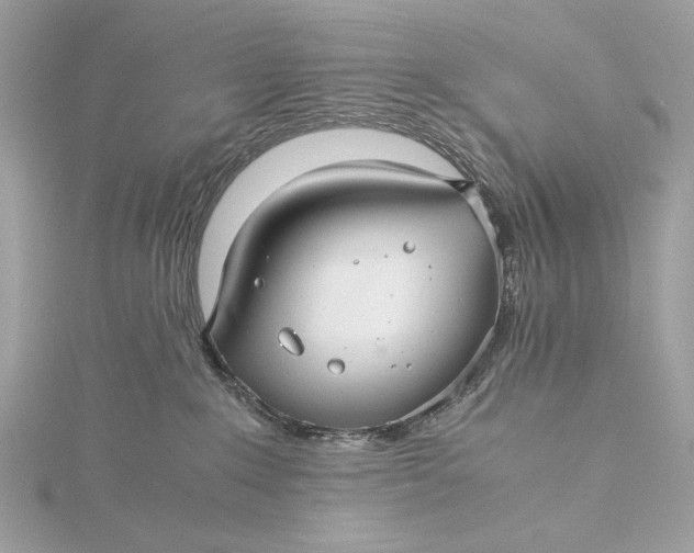 X0000116000235200912031516